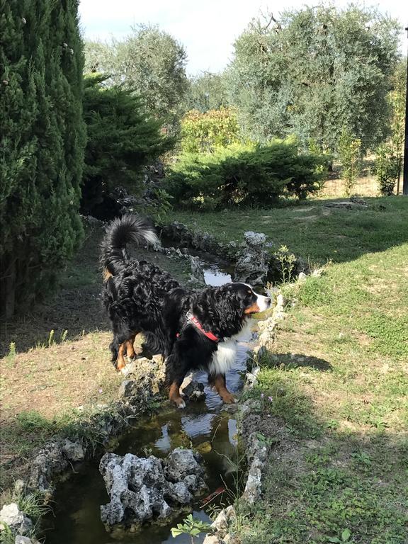 Agriturismo Azienda Agricola La Roccaia San Gimignano Buitenkant foto